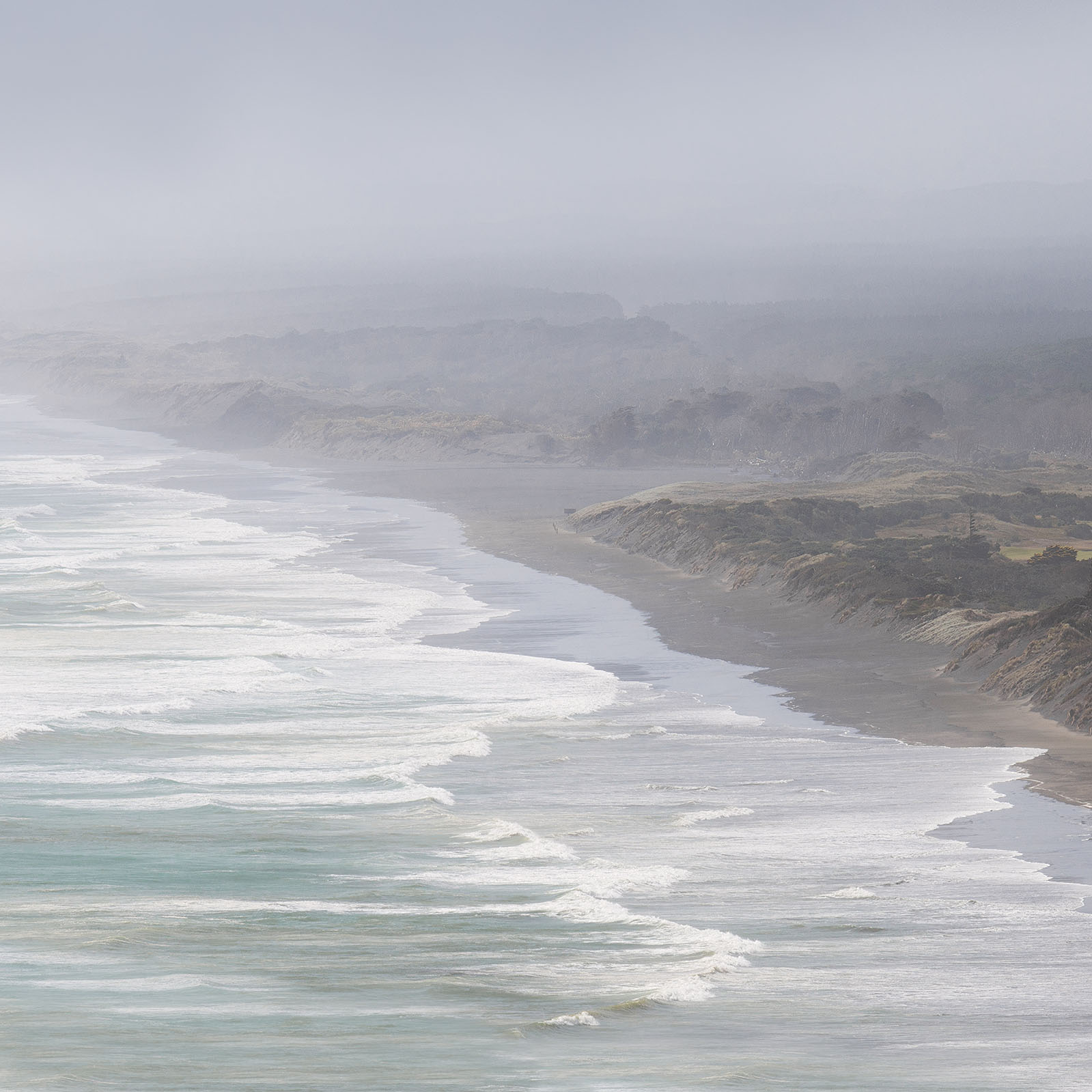 Image of Muriwai beach