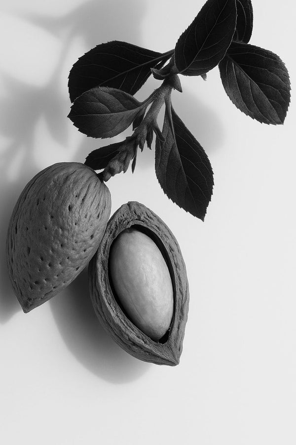 Simmondsia Chinensis (Jojoba) Seed Oil (Organic)